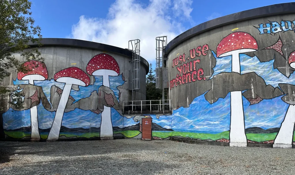 Store veggmalerier i betong har røde og hvite sopp, abstrakte blå former og teksten "Bare bruk din tilstedeværelse." Scenen, nær et returpunkt farlig avfall, inkluderer grusgrunn og overskyet himmel.